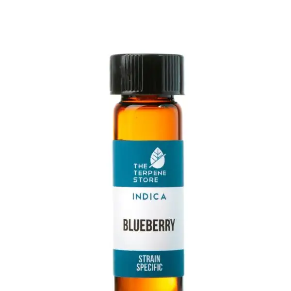 Terpenos Blueberry BMC STGO