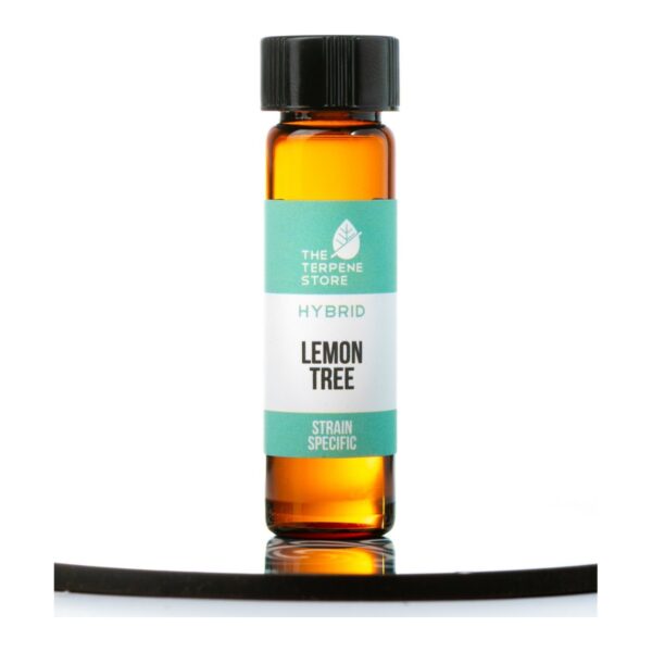 Lemon Tree